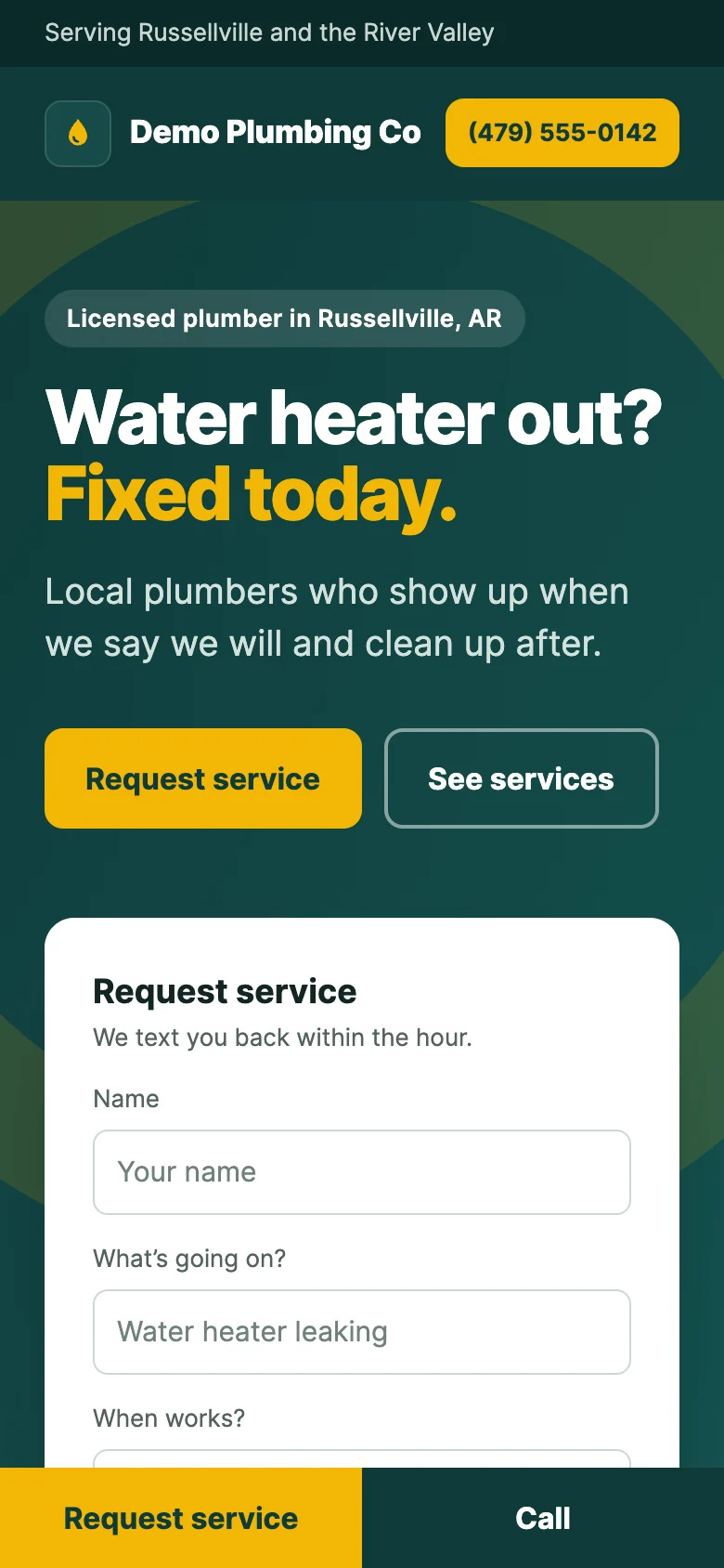 The Demo Plumbing Co mockup on a phone